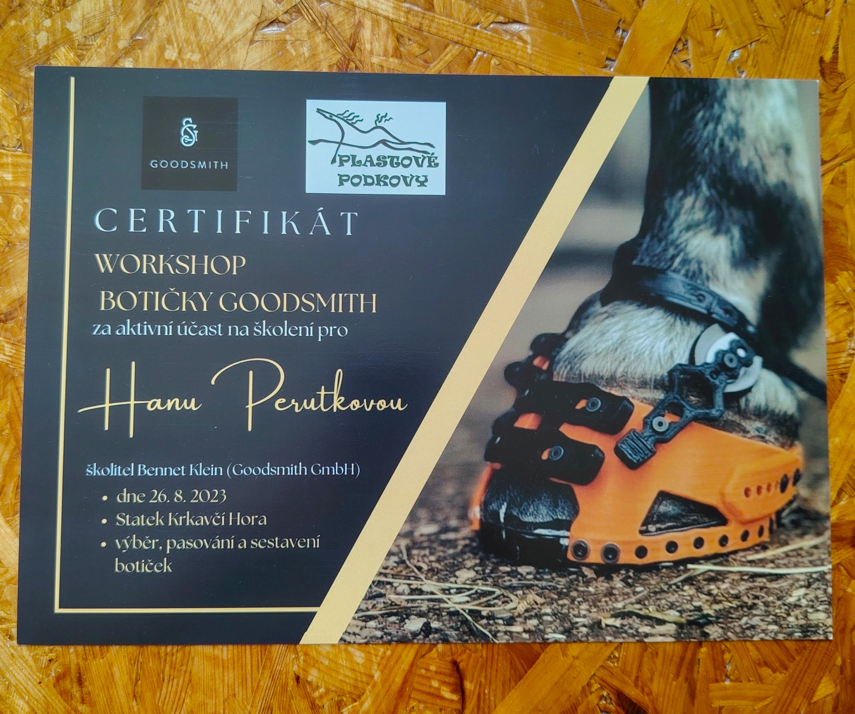 Workshop botičky Goodsmith certifikát