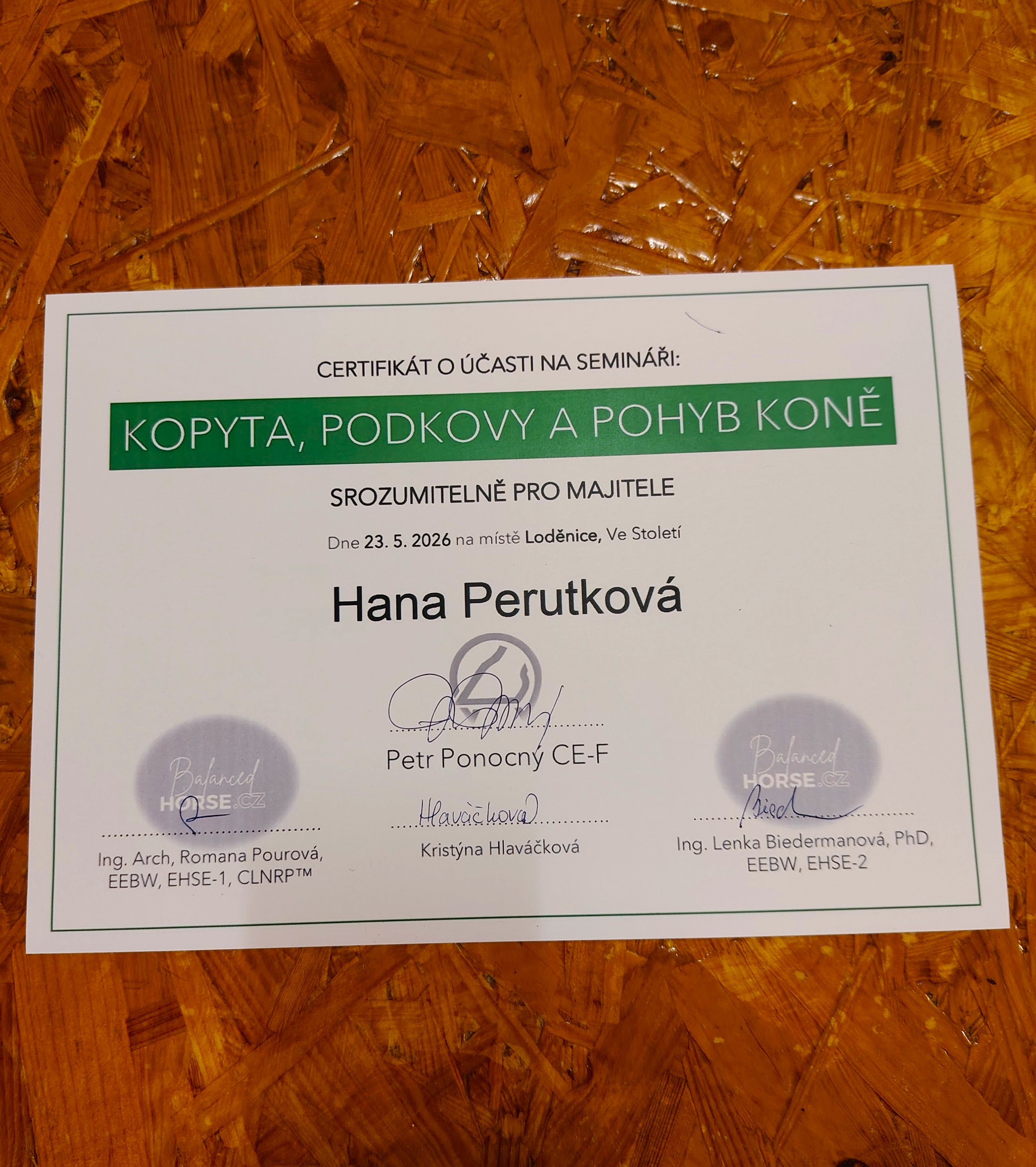 Seminář kopyta podkovy a pohyb koně Balanced Horse